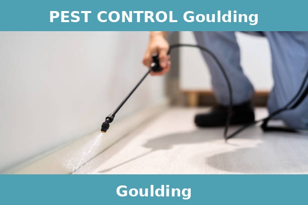 PEST CONTROL Goulding